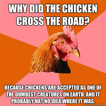 Why did the chicken cross the road? Because chickens are accepted as one of the dumbest creatures on Earth, and it probably hat no idea where it was. - Why did the chicken cross the road? Because chickens are accepted as one of the dumbest creatures on Earth, and it probably hat no idea where it was.  Anti-Joke Chicken