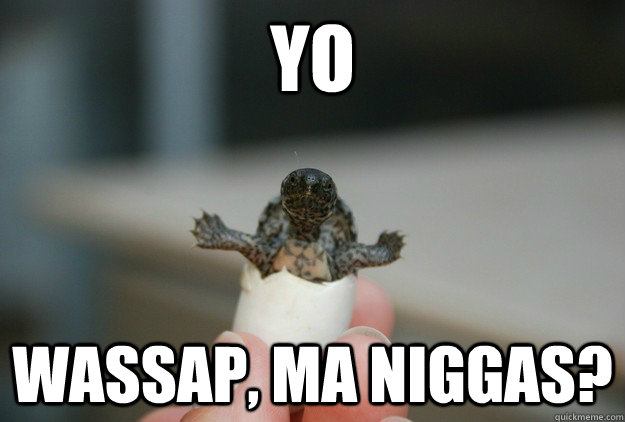 yo wassap, ma niggas?  surprise racist turtle