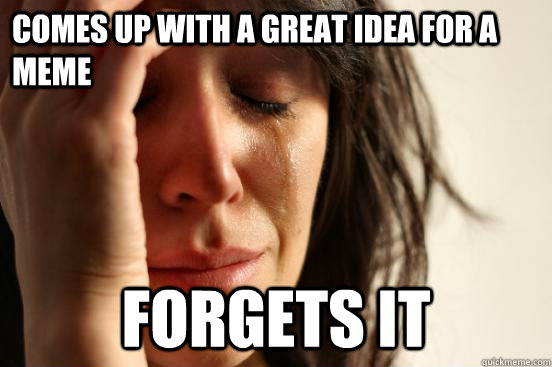 Comes up with a great idea for a meme Forgets it  First World Problems