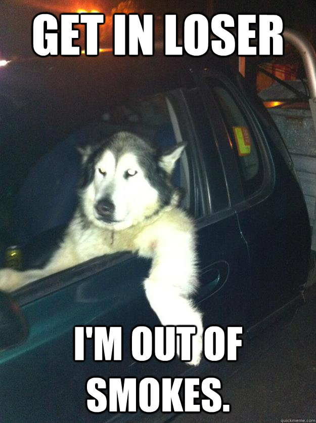 Get in loser I'm out of smokes.  Mean Dog