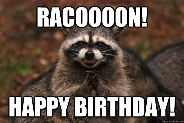 Racoooon! Happy birthday! - Racoooon! Happy birthday!  Evil Plotting Raccoon