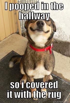 I POOPED IN THE HALLWAY SO I COVERED IT WITH THE RUG Good Dog Greg