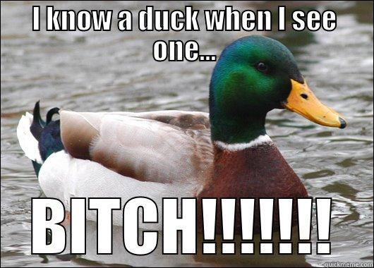 I KNOW A DUCK WHEN I SEE ONE... BITCH!!!!!!! Actual Advice Mallard