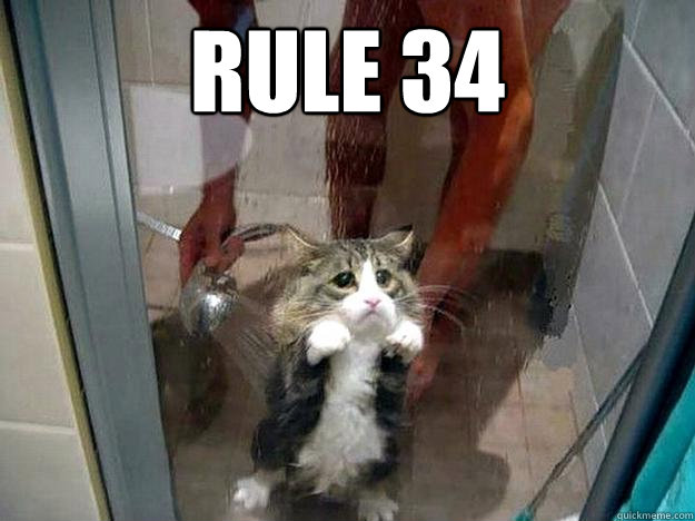Rule 34  - Rule 34   Shower kitty