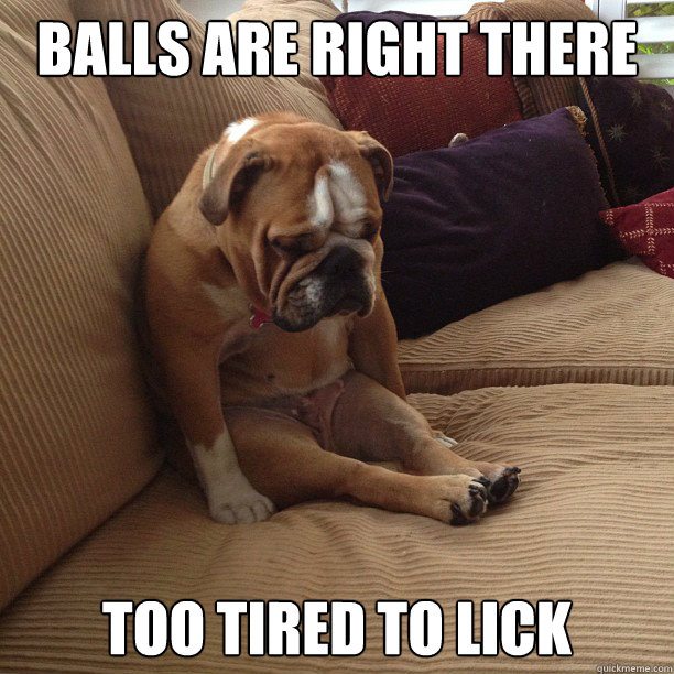 balls are right there too tired to lick  depressed dog