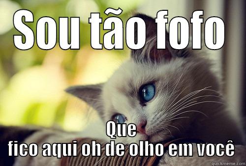 SOU TÃO FOFO QUE FICO AQUI OH DE OLHO EM VOCÊ First World Problems Cat