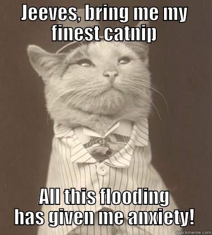 Flood Anxiety - JEEVES, BRING ME MY FINEST CATNIP ALL THIS FLOODING HAS GIVEN ME ANXIETY! Aristocat