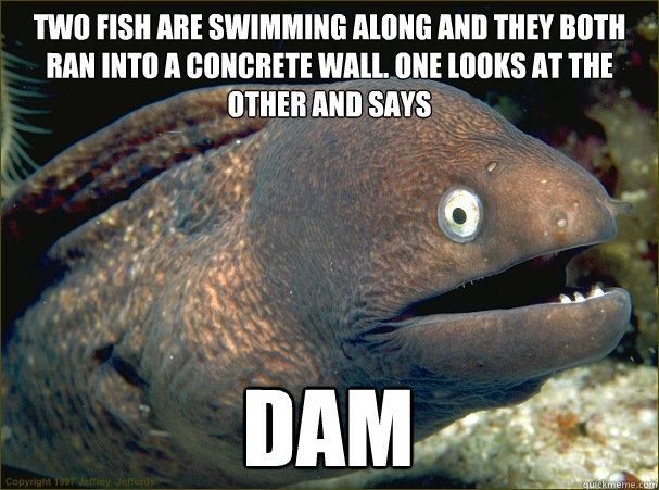 Two fish are swimming along and they both ran into a concrete wall. One looks at the other and says Dam - Two fish are swimming along and they both ran into a concrete wall. One looks at the other and says Dam  Bad Joke Eel