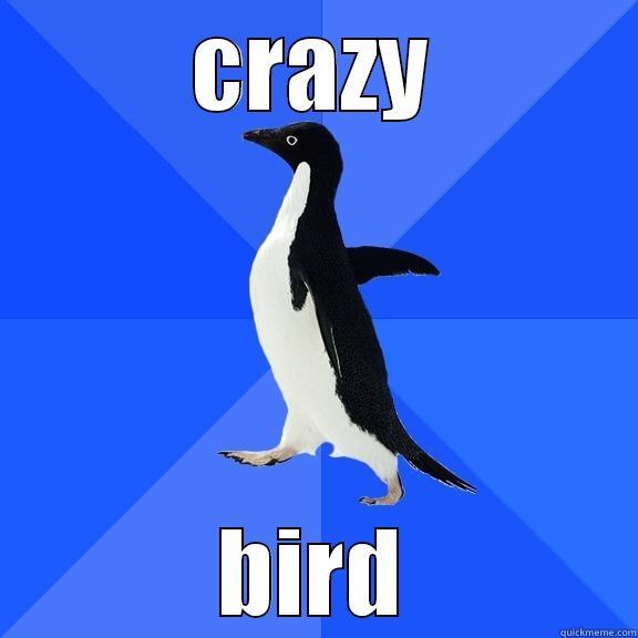 CRAZY BIRD Socially Awkward Penguin
