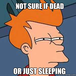 Not sure if dead or just sleeping  NOT SURE IF