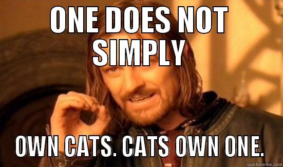 ONE DOES NOT SIMPLY OWN CATS. CATS OWN ONE. Boromir
