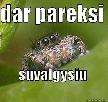 DAR PAREKSI  SUVALGYSIU               Misunderstood Spider