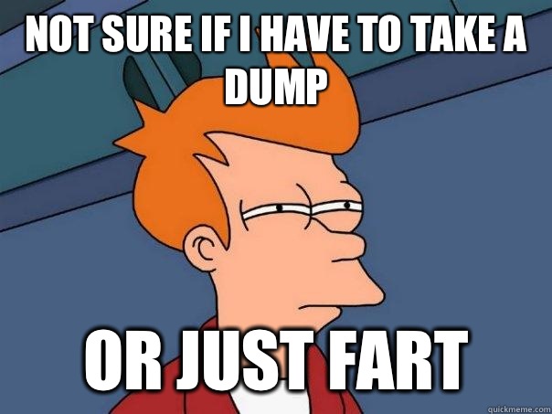 Not sure if I have to take a dump Or just fart  Futurama Fry