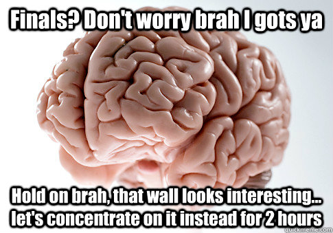 Finals? Don't worry brah I gots ya Hold on brah, that wall looks interesting... let's concentrate on it instead for 2 hours  Scumbag Brain