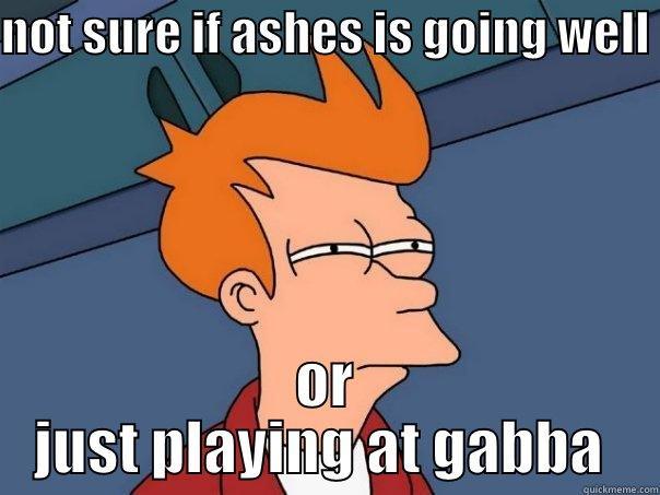 NOT SURE IF ASHES IS GOING WELL  OR JUST PLAYING AT GABBA  Futurama Fry