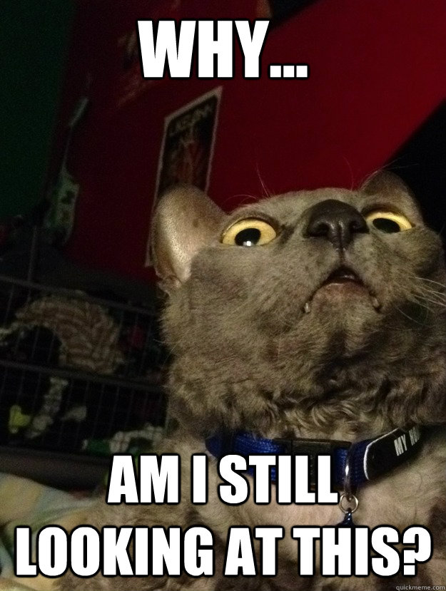 why... am i still looking at this?  Cant Stop Looking Cat