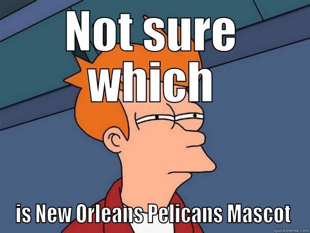 NOT SURE WHICH IS NEW ORLEANS PELICANS MASCOT Futurama Fry