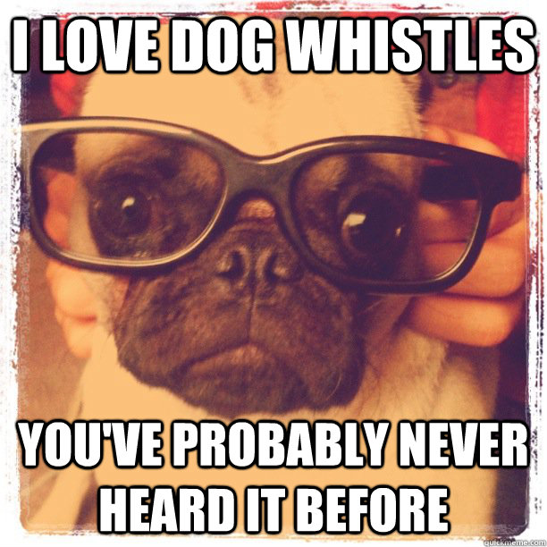 I LOVE DOG WHISTLES YOU'VE PROBABLY NEVER HEARD IT BEFORE  Hipster Pug