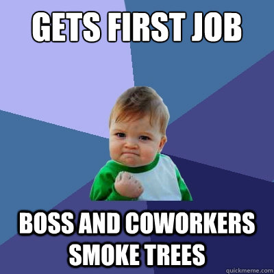 Gets first job Boss and coworkers smoke trees  Success Kid