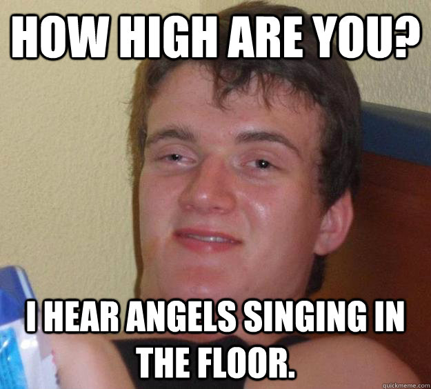 How high are you? I hear angels singing in the floor.   10 Guy