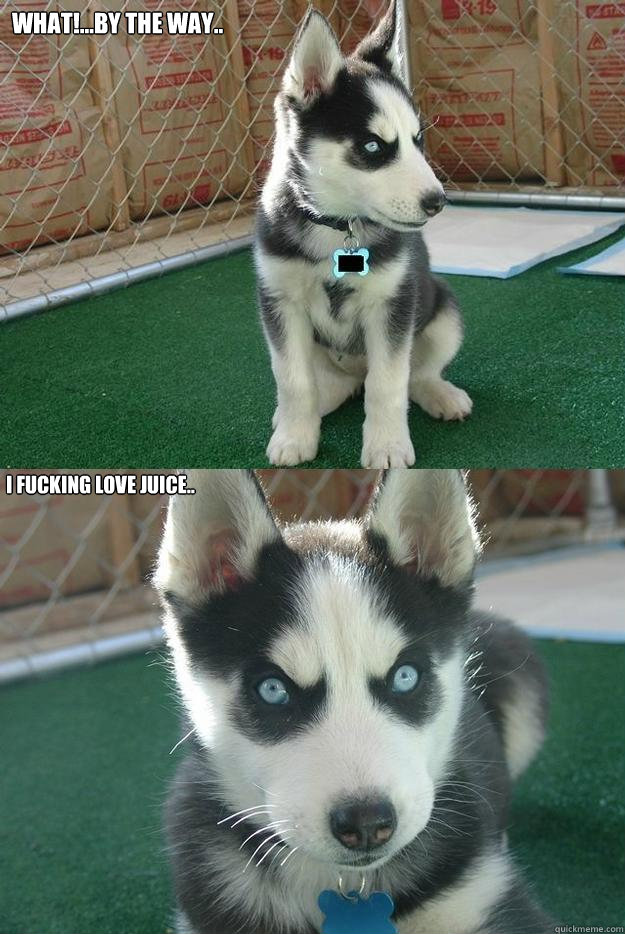 what!...by the way.. I fucking love juice..  Insanity puppy