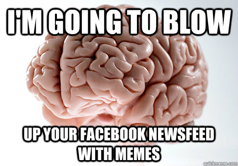 I'm going to blow up your facebook newsfeed with memes   Scumbag Brain