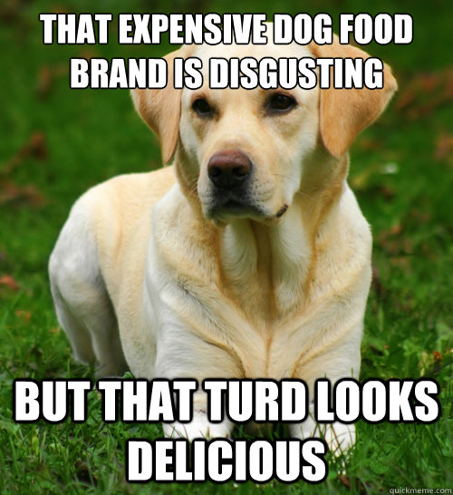 that expensive dog food brand is disgusting but that turd looks delicious - that expensive dog food brand is disgusting but that turd looks delicious  Dog Logic