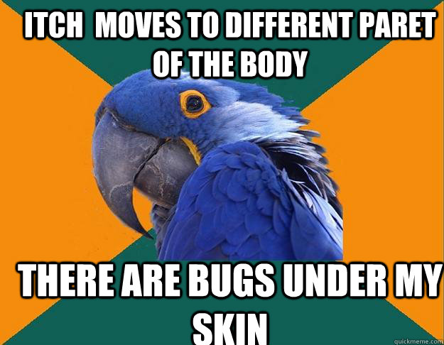 iTCH  MOVES TO DIFFERENT PARET OF THE BODY tHERE ARE BUGS UNDER MY SKIN  Paranoid Parrot