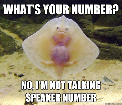 What's your number? No, I'm not talking speaker number  Forensics Pick-Up Line Fish