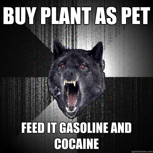 Buy plant as pet feed it gasoline and cocaine  Insanity Wolf