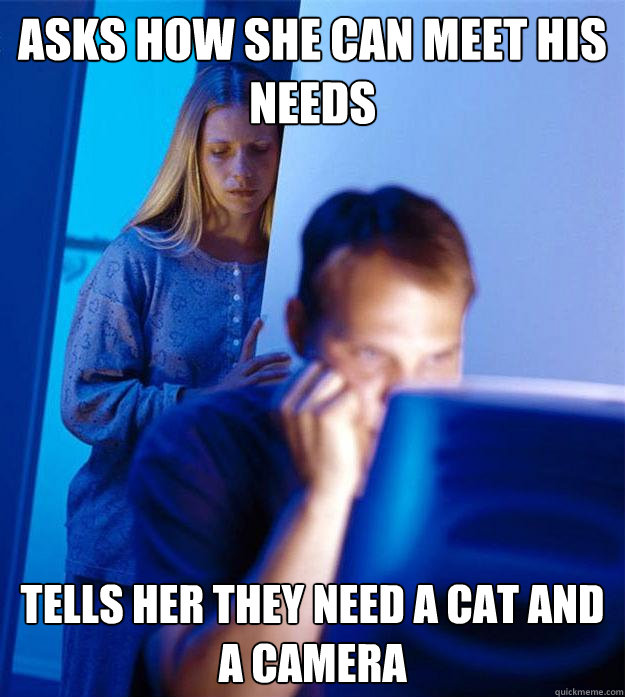 Asks how she can meet his needs Tells her they need a cat and a camera  Redditors Wife