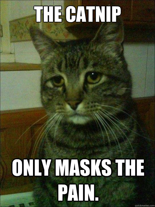 the catnip   only masks the pain.  
