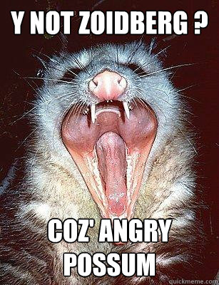Y NOT ZOIDBERG ? COZ' ANGRY POSSUM  