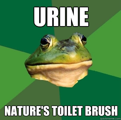 Urine Nature's toilet brush  Foul Bachelor Frog