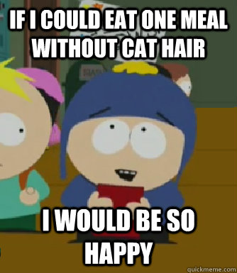 If I could eat one meal without cat hair I would be so happy  Craig - I would be so happy