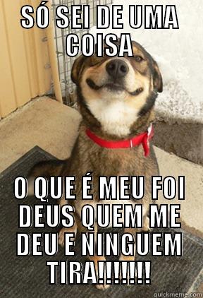 SÓ SEI DE UMA COISA O QUE É MEU FOI DEUS QUEM ME DEU E NINGUEM TIRA!!!!!!! Good Dog Greg