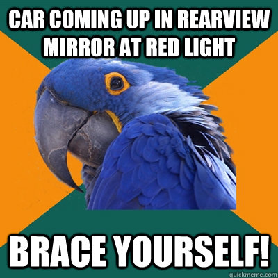 car coming up in rearview mirror at red light brace yourself!  Paranoid Parrot