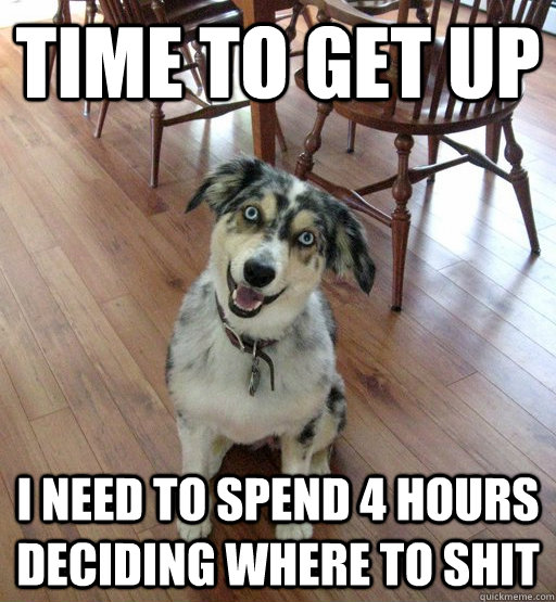 time to get up i need to spend 4 hours deciding where to shit  Overly Attached Dog