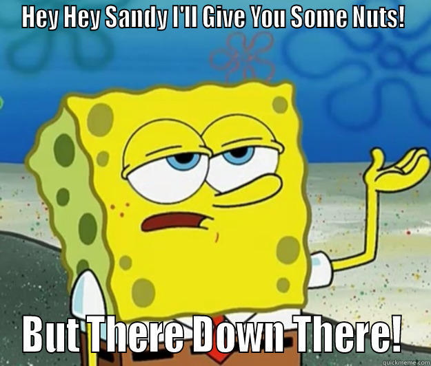 HEY HEY SANDY I'LL GIVE YOU SOME NUTS! BUT THERE DOWN THERE! Tough Spongebob