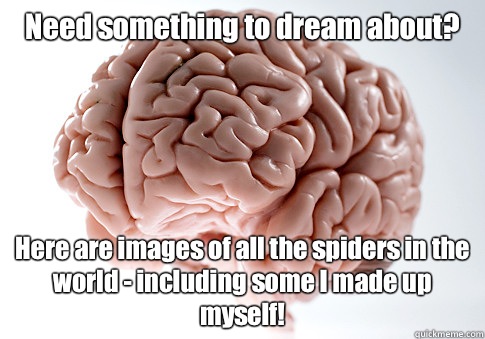 Need something to dream about? Here are images of all the spiders in the world - including some I made up myself!  Scumbag Brain