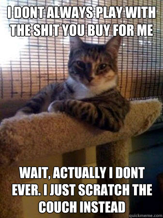 I dont always play with the shit you buy for me Wait, actually I dont ever. I just scratch the couch instead  The Most Interesting Cat in the World