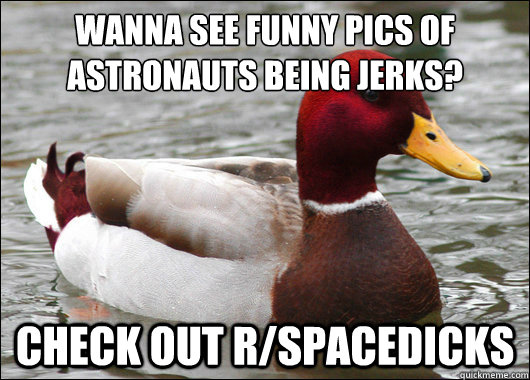 Wanna see funny pics of astronauts being jerks?
 check out r/spacedicks  Malicious Advice Mallard