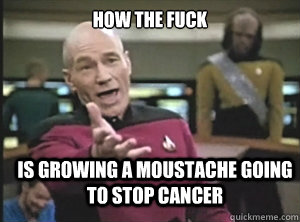 HOW THE FUCK IS GROWING A MOUSTACHE GOING TO STOP CANCER  Annoyed Picard