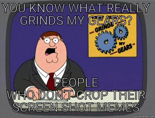 YOU KNOW WHAT REALLY GRINDS MY GEARS? PEOPLE WHO DON'T CROP THEIR SCREEN SHOT MEMES Grinds my gears