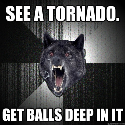 See a tornado. get balls deep in it  Insanity Wolf