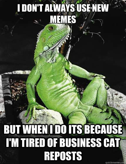 I don't always use new memes But when I do its because I'm tired of business cat reposts  Most Interesting Lizard