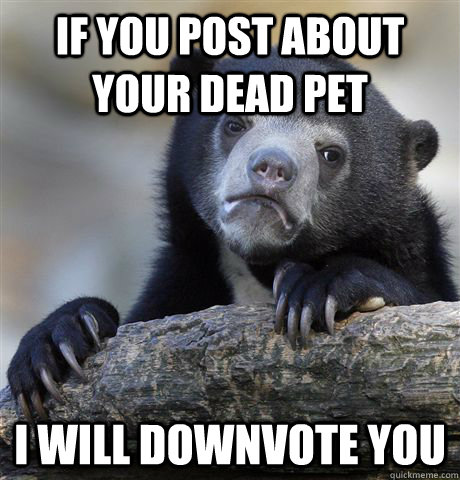 If you post about your dead pet I will downvote you - If you post about your dead pet I will downvote you  Confession Bear