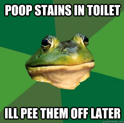 Poop stains in toilet Ill pee them off later  Foul Bachelor Frog