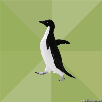    Socially Average Penguin