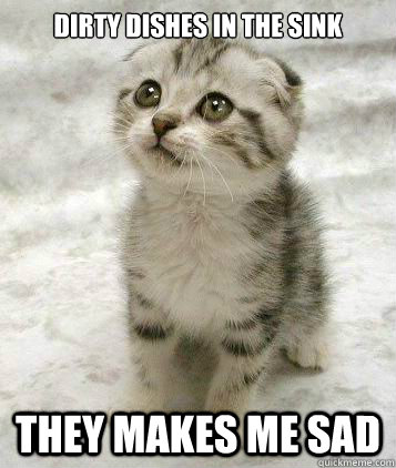 Dirty dishes in the sink They makes me sad - Dirty dishes in the sink They makes me sad  Sad cat